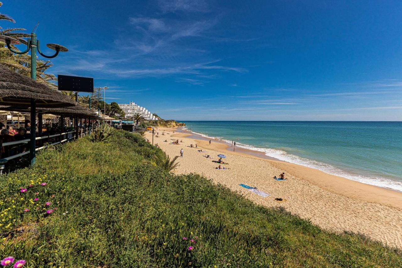 Canto Mar Beach By Alzira Albufeira Exteriér fotografie